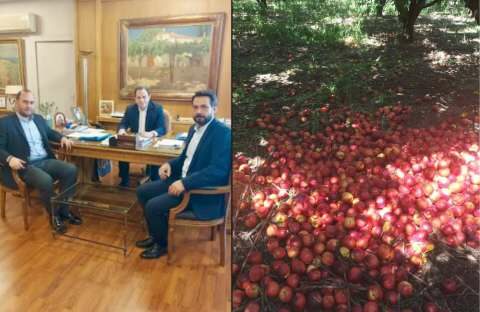 &Tau;ά&sigma;&omicron;&sigmaf; &Mu;&pi;&alpha;&rho;&tau;&zeta;ώ&kappa;&alpha;&sigmaf;: &Nu;&alpha; &alpha;&pi;&omicron;&zeta;&eta;&mu;&iota;&omega;&theta;&omicron;ύ&nu; ό&lambda;&omicron;&iota; &omicron;&iota; &pi;&lambda;&eta;&gamma;έ&nu;&tau;&epsilon;&sigmaf; &alpha;&gamma;&rho;ό&tau;&epsilon;&sigmaf;, &chi;&omega;&rho;ί&sigmaf; &delta;&iota;&alpha;&kappa;&rho;ί&sigma;&epsilon;&iota;&sigmaf;!