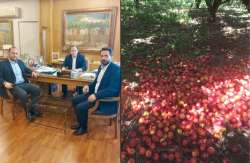 &Tau;ά&sigma;&omicron;&sigmaf; &Mu;&pi;&alpha;&rho;&tau;&zeta;ώ&kappa;&alpha;&sigmaf;: &Nu;&alpha; &alpha;&pi;&omicron;&zeta;&eta;&mu;&iota;&omega;&theta;&omicron;ύ&nu; ό&lambda;&omicron;&iota; &omicron;&iota; &pi;&lambda;&eta;&gamma;έ&nu;&tau;&epsilon;&sigmaf; &alpha;&gamma;&rho;ό&tau;&epsilon;&sigmaf;, &chi;&omega;&rho;ί&sigmaf; &delta;&iota;&alpha;&kappa;&rho;ί&sigma;&epsilon;&iota;&sigmaf;!
