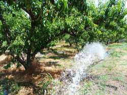 &Sigma;&upsilon;&sigma;&tau;ά&sigma;&epsilon;&iota;&sigmaf; &tau;&omicron;&upsilon; &Upsilon;&Pi;&Alpha;&Alpha;&Tau; &pi;&rho;&omicron;&sigmaf; &tau;&omicron;&upsilon;&sigmaf; &pi;&alpha;&rho;&alpha;&gamma;&omega;&gamma;&omicron;ύ&sigmaf; &sigma;&chi;&epsilon;&tau;&iota;&kappa;ά &mu;&epsilon; &tau;&eta;&nu; ά&rho;&delta;&epsilon;&upsilon;&sigma;&eta; &tau;&omega;&nu; &kappa;&alpha;&lambda;&lambda;&iota;&epsilon;&rho;&gamma;&epsilon;&iota;ώ&nu; &sigma;&epsilon; &sigma;&upsilon;&nu;&theta;ή&kappa;&epsilon;&sigmaf; &kappa;&alpha;ύ&sigma;&omega;&nu;&alpha;