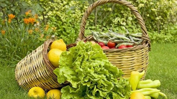 &Delta;&eta;&mu;&omicron;&sigma;ί&epsilon;&upsilon;&sigma;&eta; &tau;&eta;&sigmaf; &Pi;&rho;ό&sigma;&kappa;&lambda;&eta;&sigma;&eta;&sigmaf; &Epsilon;&kappa;&delta;ή&lambda;&omega;&sigma;&eta;&sigmaf; &Epsilon;&nu;&delta;&iota;&alpha;&phi;έ&rho;&omicron;&nu;&tau;&omicron;&sigmaf; &tau;&omicron;&upsilon; &upsilon;&pi;&omicron;&mu;έ&tau;&rho;&omicron;&upsilon; 3.1  &laquo;&Sigma;&Tau;&Eta;&Rho;&Iota;&Xi;&Eta; &Gamma;&Iota;&Alpha; &Nu;&Epsilon;&Epsilon;&Sigma; &Sigma;&Upsilon;&Mu;&Mu;&Epsilon;&Tau;&Omicron;&Chi;&Epsilon;&Sigma; &Sigma;&Epsilon; &Sigma;&Upsilon;&Sigma;&Tau;&Eta;&Mu;&Alpha;&Tau;&Alpha; &Pi;&Omicron;&Iota;&Omicron;&Tau;&Eta;&Tau;&Alpha;&Sigma;&raquo;  &tau;&omicron;&upsilon; &Pi;&Alpha;&Alpha; 2014-2020