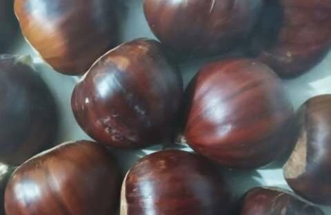 &Tau;&zeta;ά&kappa;&rho;&eta;: &laquo;&Zeta;&eta;&tau;ά &tau;&eta; &chi;&omicron;&rho;ή&gamma;&eta;&sigma;&eta; &epsilon;&nu;&iota;&sigma;&chi;ύ&sigma;&epsilon;&omega;&nu; deminimis &sigma;&tau;&omicron;&upsilon;&sigmaf; &kappa;&alpha;&sigma;&tau;&alpha;&nu;&omicron;&pi;&alpha;&rho;&alpha;&gamma;&omega;&gamma;&omicron;ύ&sigmaf; &lambda;ό&gamma;&omega; &alpha;&pi;ώ&lambda;&epsilon;&iota;&alpha;&sigmaf; &pi;&alpha;&rho;&alpha;&gamma;&omega;&gamma;ή&sigmaf; &alpha;&pi;ό &tau;&eta; &phi;&alpha;&iota;ά &sigma;ή&psi;&eta;&raquo;