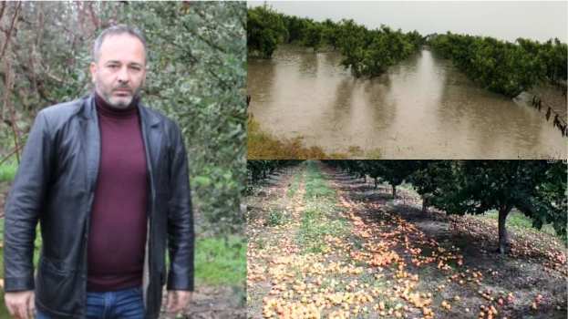 &Pi;&omicron;&iota;&omicron;&sigmaf; &theta;&alpha; &nu;&omicron;&iota;&alpha;&sigma;&tau;&epsilon;ί &gamma;&iota;&alpha; &tau;&omicron;&upsilon;&sigmaf; &alpha;&gamma;&rho;ό&tau;&epsilon;&sigmaf;;  Ά&rho;&theta;&rho;&omicron; &tau;&omicron;&upsilon; &Chi;&rho;ή&sigma;&tau;&omicron;&upsilon; &Beta;&omicron;&rho;&gamma;&iota;ά&delta;&eta;