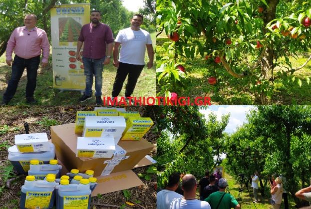 &Alpha;&nu;&tau;&iota;&mu;&epsilon;&tau;ώ&pi;&iota;&sigma;&eta; &pi;&alpha;&gamma;&epsilon;&tau;&omicron;ύ: &Pi;&omicron;&lambda;ύ &epsilon;&nu;&theta;&alpha;&rho;&rho;&upsilon;&nu;&tau;&iota;&kappa;ά &alpha;&pi;&omicron;&tau;&epsilon;&lambda;έ&sigma;&mu;&alpha;&tau;&alpha; &mu;&epsilon; &tau;&eta;&nu; &epsilon;&phi;&alpha;&rho;&mu;&omicron;&gamma;ή &tau;&omicron;&upsilon; VIUSID - Video &amp; Photos &alpha;&pi;ό &tau;&eta;&nu; &pi;&alpha;&rho;&omicron;&upsilon;&sigma;ί&alpha;&sigma;&eta; &sigma;&tau;&alpha; &Mu;&omicron;&nu;ό&sigma;&pi;&iota;&tau;&alpha; &Eta;&mu;&alpha;&theta;ί&alpha;&sigmaf;
