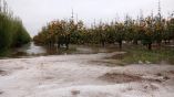 &Iota;&sigma;&pi;&alpha;&nu;ί&alpha;: &Mu;&epsilon;&gamma;ά&lambda;&epsilon;&sigmaf; &kappa;&alpha;&tau;&alpha;&sigma;&tau;&rho;&omicron;&phi;έ&sigmaf; &pi;&rho;&omicron;&kappa;ά&lambda;&epsilon;&sigma;&alpha;&nu; &sigma;&tau;&iota;&sigmaf; &kappa;&alpha;&lambda;&lambda;&iota;έ&rho;&gamma;&epsilon;&iota;&epsilon;&sigmaf; &omicron;&iota; έ&nu;&tau;&omicron;&nu;&epsilon;&sigmaf; &beta;&rho;&omicron;&chi;&omicron;&pi;&tau;ώ&sigma;&epsilon;&iota;&sigmaf; &kappa;&alpha;&iota; &chi;&alpha;&lambda;&alpha;&zeta;&omicron;&pi;&tau;ώ&sigma;&epsilon;&iota;&sigmaf;