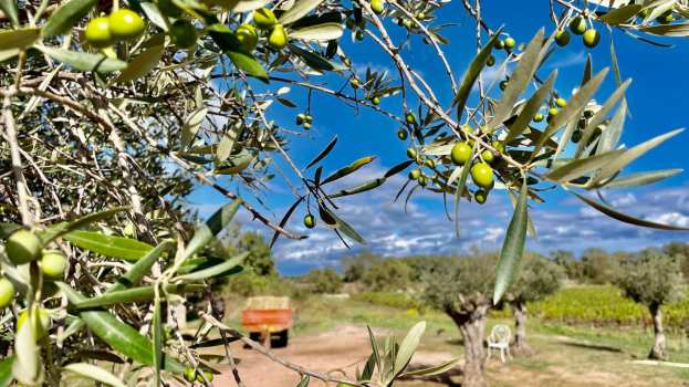 &Gamma;&epsilon;&omega;&rho;&gamma;&iota;&kappa;έ&sigmaf; &pi;&rho;&omicron;&epsilon;&iota;&delta;&omicron;&pi;&omicron;&iota;ή&sigma;&epsilon;&iota;&sigmaf; &gamma;&iota;&alpha; &tau;&eta;&nu; &Epsilon;&lambda;&iota;ά