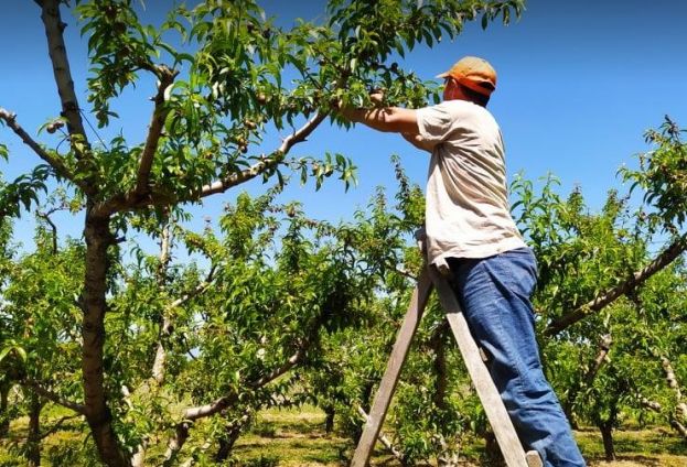 &Mu;&epsilon;&tau;ά&kappa;&lambda;&eta;&sigma;&eta; &epsilon;&rho;&gamma;&alpha;&tau;ώ&nu; &mu;&epsilon; &Omicron;&Sigma;&Delta;&Epsilon; 2020 &kappa;&alpha;&iota; &Upsilon;&pi;&epsilon;ύ&theta;&upsilon;&nu;&eta; &Delta;ή&lambda;&omega;&sigma;&eta;