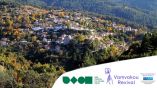 &Delta;&rho;ά&sigma;&eta; &upsilon;&pi;&omicron;&sigma;&tau;ή&rho;&iota;&xi;&eta;&sigmaf; &alpha;&gamma;&rho;&omicron;&tau;&iota;&kappa;ή&sigmaf; &alpha;&nu;ά&pi;&tau;&upsilon;&xi;&eta;&sigmaf; &sigma;&tau;&eta; &Beta;&alpha;&mu;&beta;&alpha;&kappa;&omicron;ύ