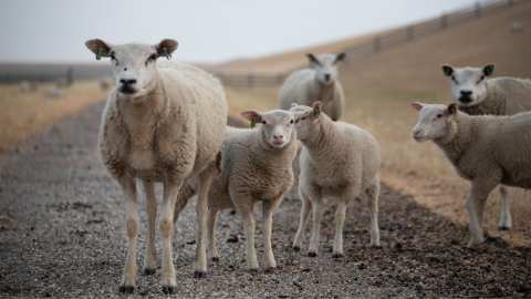&Upsilon;&Pi;&Alpha;&Alpha;&Tau;: &Epsilon;&pi;&iota;&kappa;&alpha;&iota;&rho;&omicron;&pi;&omicron;ί&eta;&sigma;&eta; &sigma;&tau;&omicron;&iota;&chi;&epsilon;ί&omega;&nu; &gamma;&iota;&alpha; &tau;&omicron;&nu; &alpha;&phi;&theta;ώ&delta;&eta; &pi;&upsilon;&rho;&epsilon;&tau;ό &sigma;&tau;&eta; &Lambda;έ&sigma;&beta;&omicron;