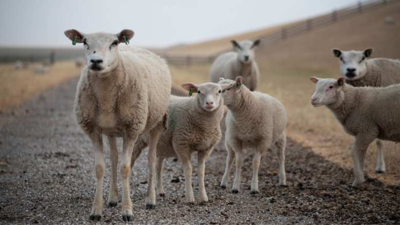 &Upsilon;&Pi;&Alpha;&Alpha;&Tau;: &Epsilon;&pi;&iota;&kappa;&alpha;&iota;&rho;&omicron;&pi;&omicron;ί&eta;&sigma;&eta; &sigma;&tau;&omicron;&iota;&chi;&epsilon;ί&omega;&nu; &gamma;&iota;&alpha; &tau;&omicron;&nu; &alpha;&phi;&theta;ώ&delta;&eta; &pi;&upsilon;&rho;&epsilon;&tau;ό &sigma;&tau;&eta; &Lambda;έ&sigma;&beta;&omicron;