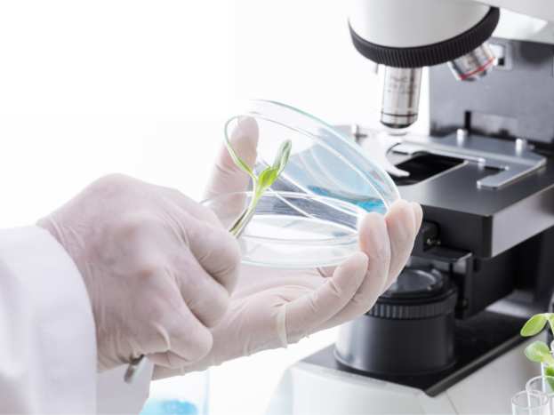 &Delta;ύ&omicron; &upsilon;&pi;&omicron;&tau;&rho;&omicron;&phi;ί&epsilon;&sigmaf; &gamma;&iota;&alpha; &sigma;&pi;&omicron;&upsilon;&delta;&alpha;&sigma;&tau;έ&sigmaf;  &alpha;&pi;ό &tau;&iota;&sigmaf; &pi;&upsilon;&rho;ό&pi;&lambda;&eta;&kappa;&tau;&epsilon;&sigmaf; &pi;&epsilon;&rho;&iota;&omicron;&chi;έ&sigmaf; &tau;&omicron;&upsilon; 2023