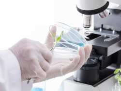 &Delta;ύ&omicron; &upsilon;&pi;&omicron;&tau;&rho;&omicron;&phi;ί&epsilon;&sigmaf; &gamma;&iota;&alpha; &sigma;&pi;&omicron;&upsilon;&delta;&alpha;&sigma;&tau;έ&sigmaf;  &alpha;&pi;ό &tau;&iota;&sigmaf; &pi;&upsilon;&rho;ό&pi;&lambda;&eta;&kappa;&tau;&epsilon;&sigmaf; &pi;&epsilon;&rho;&iota;&omicron;&chi;έ&sigmaf; &tau;&omicron;&upsilon; 2023