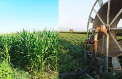 &Omicron;&Pi;&Epsilon;&Kappa;&Epsilon;&Pi;&Epsilon;: &Upsilon;&pi;&omicron;&beta;&omicron;&lambda;ή &pi;&alpha;&rho;&alpha;&sigma;&tau;&alpha;&tau;&iota;&kappa;ώ&nu; &sigma;&upsilon;&mu;&mu;ό&rho;&phi;&omega;&sigma;&eta;&sigmaf; (&Delta;&rho;ά&sigma;&eta; 10.1.02) - &Tau;&iota; &iota;&sigma;&chi;ύ&epsilon;&iota; &gamma;&iota;&alpha; &epsilon;&kappa;&tau;ά&sigma;&epsilon;&iota;&sigmaf; &mu;&epsilon; &sigma;&upsilon;&gamma;&kappa;&upsilon;&rho;&iota;ό&tau;&eta;&tau;&alpha; &delta;&eta;&mu;&omicron;&sigma;ί&omicron;&upsilon; &amp; &phi;&upsilon;&sigma;&iota;&kappa;ώ&nu; &pi;&rho;&omicron;&sigma;ώ&pi;&omega;&nu;