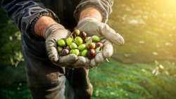 &Alpha;&kappa;&alpha;&rho;&pi;ί&alpha; &epsilon;&lambda;&alpha;&iota;ό&delta;&epsilon;&nu;&tau;&rho;&omega;&nu; &kappa;&alpha;&iota; έ&lambda;&lambda;&epsilon;&iota;&psi;&eta; &epsilon;&rho;&gamma;&alpha;&tau;ώ&nu; &gamma;&eta;&sigmaf; &tau;&alpha; &theta;έ&mu;&alpha;&tau;&alpha; &pi;&omicron;&upsilon; &tau;έ&theta;&eta;&kappa;&alpha;&nu; &sigma;&tau;&eta; &sigma;&upsilon;&nu;ά&nu;&tau;&eta;&sigma;&eta; &Epsilon;&Delta;&Omicron;&Epsilon;&Pi;&Epsilon;&Lambda; &mu;&epsilon; &Upsilon;&phi;&Alpha;&Alpha;&Tau;, &Delta;&iota;&omicron;&nu;ύ&sigma;&eta; &Sigma;&tau;&alpha;&mu;&epsilon;&nu;ί&tau;&eta;