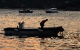 &Pi;&rho;ό&sigma;&kappa;&lambda;&eta;&sigma;&eta; &tau;&omicron;&upsilon; &Upsilon;&Pi;&Alpha;&Alpha;&Tau; &sigma;&epsilon; &phi;&omicron;&rho;&epsilon;ί&sigmaf;, &gamma;&iota;&alpha; &tau;&eta;&nu; &delta;&iota;ά&sigma;&omega;&sigma;&eta; &pi;&alpha;&rho;&alpha;&delta;&omicron;&sigma;&iota;&alpha;&kappa;ώ&nu; &xi;ύ&lambda;&iota;&nu;&omega;&nu; &alpha;&lambda;&iota;&epsilon;&upsilon;&tau;&iota;&kappa;ώ&nu; &sigma;&kappa;&alpha;&phi;ώ&nu;