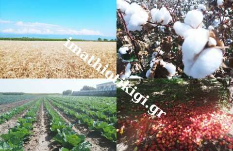 &Tau;&zeta;ά&kappa;&rho;&eta; : &Alpha;&nu;&alpha;&kappa;&omicron;ί&nu;&omega;&sigma;&eta; &gamma;&iota;&alpha; &tau;&iota;&sigmaf; &pi;&rho;&omicron;&kappa;&alpha;&tau;&alpha;&beta;&omicron;&lambda;έ&sigmaf; &tau;&omega;&nu; &alpha;&pi;&omicron;&zeta;&eta;&mu;&iota;ώ&sigma;&epsilon;&omega;&nu; &gamma;&iota;&alpha; &tau;&iota;&sigmaf; &zeta;&eta;&mu;&iota;έ&sigmaf; &sigma;&tau;&iota;&sigmaf; &kappa;&alpha;&lambda;&lambda;&iota;έ&rho;&gamma;&epsilon;&iota;&epsilon;&sigmaf; &alpha;&pi;ό &tau;&alpha; &alpha;&kappa;&rho;&alpha;ί&alpha; &kappa;&alpha;&iota;&rho;&iota;&kappa;ά &phi;&alpha;&iota;&nu;ό&mu;&epsilon;&nu;&alpha; &tau;&omicron;&upsilon; &Iota;&omicron;&upsilon;&nu;ί&omicron;&upsilon;