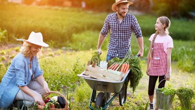 &Alpha;&Kappa;&Kappa;&Epsilon;&Lambda;: &laquo;&Tau;&iota; &theta;&alpha; &gamma;ί&nu;&epsilon;&iota; &epsilon;&pi;&iota;&tau;έ&lambda;&omicron;&upsilon;&sigmaf; &kappa;ύ&rho;&iota;&epsilon; &upsilon;&pi;&omicron;&upsilon;&rho;&gamma;έ &mu;&epsilon; &tau;&iota;&sigmaf; &pi;&epsilon;&rho;&iota;&beta;ό&eta;&tau;&epsilon;&sigmaf; &kappa;ά&rho;&tau;&epsilon;&sigmaf; &tau;&omicron;&upsilon; &alpha;&gamma;&rho;ό&tau;&eta;;&raquo;
