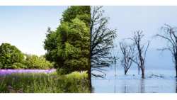 &Nu;&Iota;&Kappa;&Eta;: &Kappa;&lambda;&iota;&mu;&alpha;&tau;&iota;&kappa;ή &alpha;&lambda;&lambda;&alpha;&gamma;ή &kappa;&alpha;&iota; &epsilon;&mu;&pi;&omicron;&rho;&epsilon;&upsilon;&mu;&alpha;&tau;&omicron;&pi;&omicron;ί&eta;&sigma;&eta; &tau;&omicron;&upsilon; &nu;&epsilon;&rho;&omicron;ύ