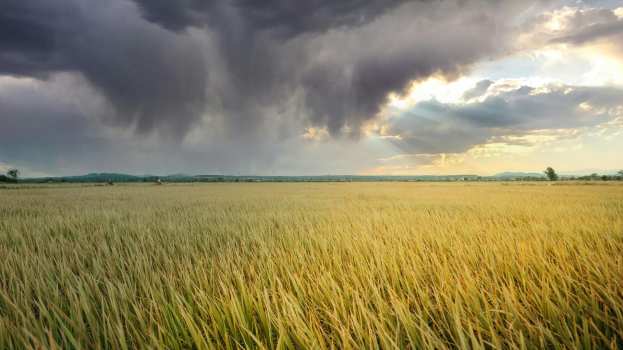 Έ&kappa;&tau;&alpha;&kappa;&tau;&omicron; &delta;&epsilon;&lambda;&tau;ί&omicron; &epsilon;&pi;&iota;&delta;&epsilon;ί&nu;&omega;&sigma;&eta;&sigmaf; &kappa;&alpha;&iota;&rho;&omicron;ύ: Έ&rho;&chi;&omicron;&nu;&tau;&alpha;&iota; &iota;&sigma;&chi;&upsilon;&rho;έ&sigmaf; &kappa;&alpha;&tau;&alpha;&iota;&gamma;ί&delta;&epsilon;&sigmaf; &kappa;&alpha;&iota; &pi;&iota;&theta;&alpha;&nu;ό&nu; &chi;&alpha;&lambda;&alpha;&zeta;&omicron;&pi;&tau;ώ&sigma;&epsilon;&iota;&sigmaf;