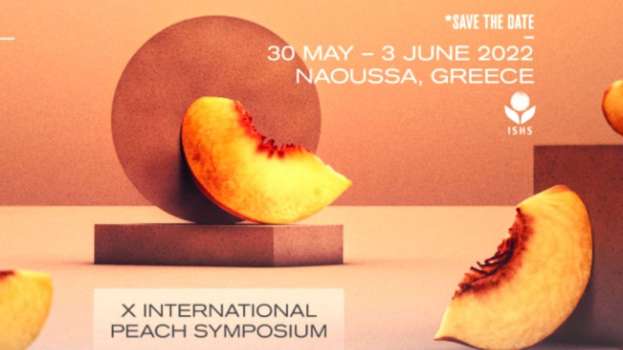 &Epsilon;&pi;&iota;&sigma;&tau;&eta;&mu;&omicron;&nu;&iota;&kappa;ό &pi;&rho;ό&gamma;&rho;&alpha;&mu;&mu;&alpha; 10&omicron;&upsilon; &Delta;&iota;&epsilon;&theta;&nu;&omicron;ύ&sigmaf; &Sigma;&upsilon;&nu;&epsilon;&delta;&rho;ί&omicron;&upsilon; &Rho;&omicron;&delta;&alpha;&kappa;&iota;&nu;&iota;ά&sigmaf; 30 &Mu;&alpha;ΐ&omicron;&upsilon; - 3 &Iota;&omicron;&upsilon;&nu;ί&omicron;&upsilon;