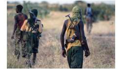 &Tau;&zeta;&iota;&chi;&alpha;&nu;&tau;&iota;&sigma;&tau;έ&sigmaf; &alpha;&pi;ή&gamma;&alpha;&gamma;&alpha;&nu; 30 &kappa;&tau;&eta;&nu;&omicron;&tau;&rho;ό&phi;&omicron;&upsilon;&sigmaf; &sigma;&tau;&eta; &Nu;&iota;&gamma;&eta;&rho;ί&alpha;