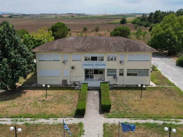 &Eta; &pi;&omicron;&lambda;ύ&tau;&iota;&mu;&eta; &sigma;&upsilon;&mu;&beta;&omicron;&lambda;ή &tau;&omicron;&upsilon; &Kappa;&tau;&eta;&nu;&iota;&alpha;&tau;&rho;&iota;&kappa;&omicron;ύ &Epsilon;&rho;&gamma;&alpha;&sigma;&tau;&eta;&rho;ί&omicron;&upsilon; &Lambda;ά&rho;&iota;&sigma;&alpha;&sigmaf; &sigma;&tau;&eta; &delta;&iota;&alpha;&chi;&epsilon;ί&rho;&iota;&sigma;&eta; &tau;&eta;&sigmaf; &epsilon;&upsilon;&lambda;&omicron;&gamma;&iota;ά&sigmaf;