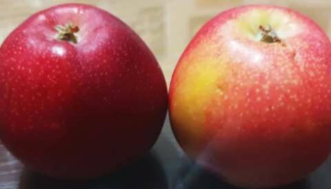 &Sigma;&epsilon; &alpha;&delta;&iota;έ&xi;&omicron;&delta;&omicron; &omicron;&iota; &pi;&alpha;&rho;&alpha;&gamma;&omega;&gamma;&omicron;ί &mu;ή&lambda;&omega;&nu; - &Alpha;&delta;&iota;ά&theta;&epsilon;&tau;&eta; &pi;&alpha;&rho;&alpha;&mu;έ&nu;&epsilon;&iota; &eta; &mu;&eta;&lambda;&omicron;&pi;&alpha;&rho;&alpha;&gamma;&omega;&gamma;ή &sigma;&tau;&eta; &Delta;&upsilon;&tau;&iota;&kappa;ή &Mu;&alpha;&kappa;&epsilon;&delta;&omicron;&nu;ί&alpha;