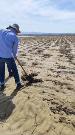 &Epsilon;&pi;ί&sigma;&kappa;&epsilon;&psi;&eta; &gamma;&iota;&alpha; &delta;&epsilon;&iota;&gamma;&mu;&alpha;&tau;&omicron;&lambda;&eta;&psi;ί&epsilon;&sigmaf; &kappa;&alpha;&iota; &epsilon;&pi;&iota;&tau;ό&pi;&iota;&epsilon;&sigmaf; &pi;&alpha;&rho;&alpha;&tau;&eta;&rho;ή&sigma;&epsilon;&iota;&sigmaf; &sigma;&chi;&epsilon;&tau;&iota;&kappa;ά &mu;&epsilon; &tau;&eta;&nu; έ&rho;&epsilon;&upsilon;&nu;&alpha; &gamma;&iota;&alpha; &tau;&eta;&nu; &epsilon;&pi;ί&delta;&rho;&alpha;&sigma;&eta; &tau;&omega;&nu; &pi;&lambda;&eta;&mu;&mu;&upsilon;&rho;&iota;&kappa;ώ&nu; &phi;&alpha;&iota;&nu;&omicron;&mu;έ&nu;&omega;&nu; &sigma;&tau;&alpha; &epsilon;&delta;ά&phi;&eta; &tau;&eta;&sigmaf; &Theta;&epsilon;&sigma;&sigma;&alpha;&lambda;ί&alpha;&sigmaf;