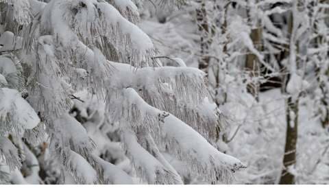 &Psi;ύ&chi;&omicron;&sigmaf; &kappa;&alpha;&iota; &Chi;&iota;&omicron;&nu;&omicron;&pi;&tau;ώ&sigma;&epsilon;&iota;&sigmaf; &mu;έ&sigma;&alpha; &sigma;&tau;&omicron;&nu; &Alpha;&pi;&rho;ί&lambda;&iota;&omicron; &alpha;&kappa;ό&mu;&alpha; &kappa;&alpha;&iota; &sigma;&epsilon; &chi;&alpha;&mu;&eta;&lambda;ά &upsilon;&psi;ό&mu;&epsilon;&tau;&rho;&alpha; &pi;&rho;&omicron;&beta;&lambda;έ&pi;&omicron;&upsilon;&nu; &tau;&alpha; &Mu;&epsilon;&rho;&omicron;&mu;ή&nu;&iota;&alpha;