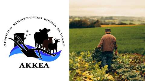 &Alpha;&Kappa;&Kappa;&Epsilon;&Lambda;: &Eta; &Epsilon;&lambda;&lambda;ά&delta;&alpha; &chi;ά&nu;&epsilon;&iota; &tau;&omicron;&upsilon;&sigmaf; &alpha;&gamma;&rho;ό&tau;&epsilon;&sigmaf; &tau;&eta;&sigmaf;, &eta; &epsilon;&gamma;&kappa;&alpha;&tau;ά&lambda;&epsilon;&iota;&psi;&eta; &tau;&omicron;&upsilon; &pi;&rho;&omega;&tau;&omicron;&gamma;&epsilon;&nu;&omicron;ύ&sigmaf; &tau;&omicron;&mu;έ&alpha; &epsilon;&pi;&iota;&tau;&alpha;&chi;ύ&nu;&epsilon;&tau;&alpha;&iota;