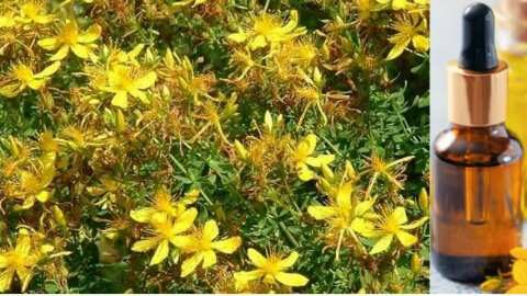 &Omicron;&iota; &iota;&delta;&iota;ό&tau;&eta;&tau;&epsilon;&sigmaf; &amp; &tau;&alpha; &omicron;&phi;έ&lambda;&eta; &tau;&omicron;&upsilon; &sigma;&pi;&alpha;&theta;ό&lambda;&alpha;&delta;&omicron;&upsilon; &kappa;&alpha;&iota; &sigma;&pi;&alpha;&theta;ό&chi;&omicron;&rho;&tau;&omicron;&upsilon;