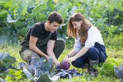 &Pi;&rho;&omicron;&kappa;ή&rho;&upsilon;&xi;&eta; &upsilon;&pi;&omicron;&tau;&rho;&omicron;&phi;ί&alpha;&sigmaf; &gamma;&iota;&alpha; &tau;&omicron; &Epsilon;&Pi;&Alpha;&Lambda; &tau;&eta;&sigmaf; &Alpha;&Gamma;&Sigma; &alpha;&pi;ό &tau;&eta; &laquo;&Phi;&Omicron;&Upsilon;&Rho;&Nu;&Omicron;&Sigma; &Lambda;&Epsilon;&Mu;&Omicron;&Nu;&Eta;&raquo;