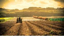 &Pi;&alpha;&rho;έ&mu;&beta;&alpha;&sigma;&eta; &Tau;&zeta;ά&kappa;&rho;&eta; &sigma;&tau;&eta; &Beta;&omicron;&upsilon;&lambda;ή &gamma;&iota;&alpha; &tau;&eta;&nu; &Kappa;&Alpha;&Pi; (&Beta;ί&nu;&tau;&epsilon;&omicron;)