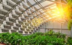 &Alpha;&upsilon;&tau;ά &epsilon;ί&nu;&alpha;&iota; 3 &alpha;&pi;ό &tau;&alpha; &pi;&iota;&omicron; &delta;&iota;&alpha;&delta;&epsilon;&delta;&omicron;&mu;έ&nu;&alpha; &Sigma;&upsilon;&sigma;&tau;ή&mu;&alpha;&tau;&alpha; &Theta;&epsilon;&rho;&mu;&omicron;&kappa;&eta;&pi;ί&omicron;&upsilon;