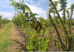 &Alpha;&gamma;&rho;&omicron;&tau;&iota;&kappa;ά &nu;έ&alpha;: Έ&nu;&tau;&omicron;&nu;&eta; &alpha;&nu;&eta;&sigma;&upsilon;&chi;ί&alpha; &tau;&omega;&nu; &pi;&alpha;&rho;&alpha;&gamma;&omega;&gamma;ώ&nu; &pi;&upsilon;&rho;&eta;&nu;ό&kappa;&alpha;&rho;&pi;&omega;&nu; &ndash; &Tau;&alpha; &pi;&rho;&omicron;&beta;&lambda;ή&mu;&alpha;&tau;&alpha; &pi;&omicron;&upsilon; "&kappa;&alpha;ί&nu;&epsilon;" &tau;&eta;&nu; &pi;&alpha;&rho;&alpha;&gamma;&omega;&gamma;ή