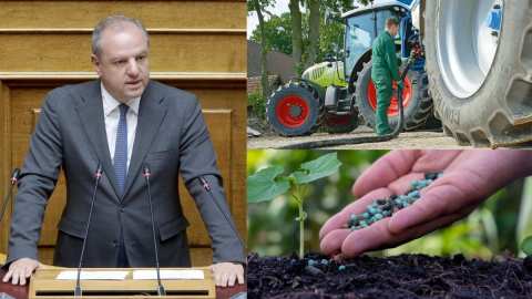 &Delta;&iota;&omicron;&nu;ύ&sigma;&eta;&sigmaf; &Sigma;&tau;&alpha;&mu;&epsilon;&nu;ί&tau;&eta;&sigmaf;: &Pi;&alpha;&rho;&epsilon;&mu;&beta;ά&sigma;&epsilon;&iota;&sigmaf; &gamma;&iota;&alpha; &tau;&omicron; &alpha;&gamma;&rho;&omicron;&tau;&iota;&kappa;ό &pi;&epsilon;&tau;&rho;έ&lambda;&alpha;&iota;&omicron; &kappa;&alpha;&iota; &tau;&eta;&nu; &epsilon;&pi;&iota;&delta;ό&tau;&eta;&sigma;&eta; &lambda;&iota;&pi;&alpha;&sigma;&mu;ά&tau;&omega;&nu;