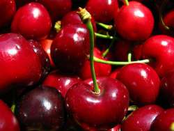 &Kappa;&Epsilon;&Rho;&Alpha;&Sigma;&Iota;&Alpha; &Alpha;&Nu;&Alpha;&Mu;&Epsilon;&Nu;&Epsilon;&Tau;&Alpha;&Iota; &Eta; &Mu;&Epsilon;&Gamma;&Iota;&Sigma;&Tau;&Eta; &Pi;&Alpha;&Rho;&Alpha;&Gamma;&Omega;&Gamma;&Eta; &Sigma;&Tau;&Eta;&Nu; &Iota;&Tau;&Alpha;&Lambda;&Iota;&Alpha;