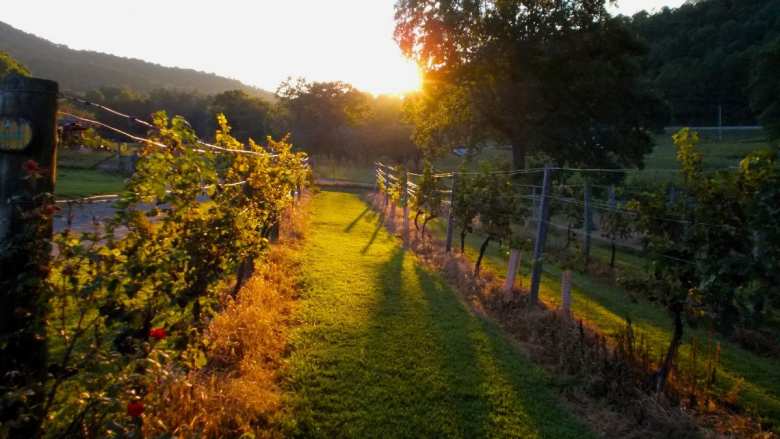 &Kappa;&Epsilon;&Omicron;&Sigma;&Omicron;&Epsilon;: &Alpha;&pi;ό&sigma;&tau;&alpha;&xi;&eta; &alpha;&pi;&omicron;&phi;ά&sigma;&iota;&sigma;&alpha;&nu; &omicron;&iota; &Gamma;ά&lambda;&lambda;&omicron;&iota;, ό&mu;&omega;&sigmaf; : &laquo;&Tau;&alpha; 33 &epsilon;&upsilon;&rho;ώ/hl &delta;&epsilon;&nu; &alpha;&nu;&tau;&iota;&kappa;&alpha;&tau;&omicron;&pi;&tau;&rho;ί&zeta;&omicron;&upsilon;&nu; &tau;&eta;&nu; &pi;&rho;&alpha;&gamma;&mu;&alpha;&tau;&iota;&kappa;ό&tau;&eta;&tau;&alpha; &tau;&omega;&nu; &sigma;&upsilon;&nu;&alpha;&lambda;&lambda;&alpha;&gamma;ώ&nu;&raquo; &gamma;&iota;&alpha; &tau;&alpha; &gamma;&alpha;&lambda;&lambda;&iota;&kappa;ά &kappa;&rho;&alpha;&sigma;&iota;ά