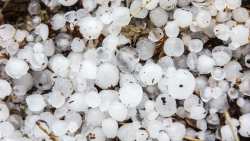 &Sigma;&phi;&omicron;&delta;&rho;ή &chi;&alpha;&lambda;&alpha;&zeta;ό&pi;&tau;&omega;&sigma;&eta; &pi;&rho;&omicron;&kappa;ά&lambda;&epsilon;&sigma;&epsilon; &mu;&epsilon;&gamma;ά&lambda;&epsilon;&sigmaf; &zeta;&eta;&mu;&iota;έ&sigmaf; &sigma;&epsilon; &kappa;&alpha;&lambda;&lambda;&iota;έ&rho;&gamma;&epsilon;&iota;&epsilon;&sigmaf; &pi;&alpha;&tau;ά&tau;&alpha;&sigmaf;, &kappa;&alpha;&rho;&pi;&omicron;&upsilon;&zeta;&iota;ώ&nu; &kappa;&alpha;&iota; &alpha;&mu;&pi;έ&lambda;&iota;&alpha; &sigma;&tau;&eta;&nu; &Eta;&lambda;&epsilon;ί&alpha;