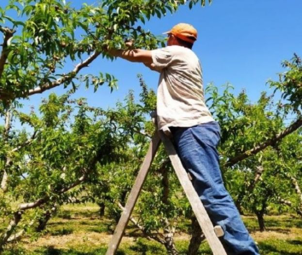 &Epsilon;&rho;&gamma;ό&sigma;&eta;&mu;&omicron;, &alpha;&lambda;&lambda;&alpha;&gamma;ή &epsilon;&rho;&gamma;&omicron;&delta;ό&tau;&eta; &amp; &alpha;&kappa;ύ&rho;&omega;&sigma;&eta; &alpha;&nu;ά&kappa;&lambda;&eta;&sigma;&eta;&sigmaf; &mu;&epsilon;&tau;&alpha;&kappa;&lambda;&eta;&tau;ώ&nu; &epsilon;&rho;&gamma;&alpha;&tau;ώ&nu; - &Epsilon;&lambda;&lambda;&iota;&pi;ή &epsilon;&nu;&eta;&mu;έ&rho;&omega;&sigma;&eta; &kappa;&alpha;&iota; &gamma;&rho;&alpha;&phi;&epsilon;&iota;&omicron;&kappa;&rho;&alpha;&tau;&iota;&kappa;έ&sigmaf; &delta;&upsilon;&sigma;&kappa;&omicron;&lambda;ί&epsilon;&sigmaf; &pi;&rho;&omicron;&beta;&lambda;&eta;&mu;&alpha;&tau;ί&zeta;&omicron;&upsilon;&nu; &tau;&omicron;&upsilon;&sigmaf; &alpha;&gamma;&rho;ό&tau;&epsilon;&sigmaf;