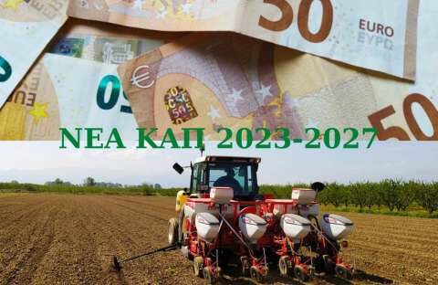 &Kappa;&alpha;&tau;ά 25% "&psi;&alpha;&lambda;ί&delta;&iota;" &sigma;&tau;&iota;&sigmaf; &epsilon;&nu;&iota;&sigma;&chi;ύ&sigma;&epsilon;&iota;&sigmaf; &alpha;&nu; &sigma;&tau;&eta; &delta;ή&lambda;&omega;&sigma;&eta; &Omicron;&Sigma;&Delta;&Epsilon; 2023 &delta;&epsilon;&nu; &pi;&epsilon;&rho;&iota;&lambda;&alpha;&mu;&beta;ά&nu;&epsilon;&tau;&alpha;&iota; &delta;&rho;ά&sigma;&eta; &omicron;&iota;&kappa;&omicron;&lambda;&omicron;&gamma;&iota;&kappa;&omicron;ύ &sigma;&chi;ή&mu;&alpha;&tau;&omicron;&sigmaf; - &Pi;&omicron;&iota;&omicron;&iota; &theta;&alpha; &mu;έ&nu;&omicron;&upsilon;&nu; &epsilon;&kappa;&tau;ό&sigmaf; &sigma;&chi;&epsilon;&delta;ί&omega;&nu; &beta;&epsilon;&lambda;&tau;ί&omega;&sigma;&eta;&sigmaf;