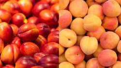 De minimis &alpha;&pi;&omicron;&zeta;&eta;&mu;&iota;ώ&sigma;&epsilon;&iota;&sigmaf; &gamma;&iota;&alpha; &rho;&omicron;&delta;ά&kappa;&iota;&nu;&alpha;, &beta;&epsilon;&rho;ί&kappa;&omicron;&kappa;&alpha; &kappa;&alpha;&iota; &nu;&epsilon;&kappa;&tau;&alpha;&rho;ί&nu;&iota;&alpha; - &Delta;έ&sigma;&mu;&epsilon;&upsilon;&sigma;&eta; &alpha;&nu;&alpha;&gamma;&kappa;&alpha;ί&omega;&nu; &pi;&omicron;&sigma;ώ&nu;