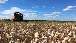 &Upsilon;&Pi;&Alpha;&Alpha;&Tau;: 96 &epsilon;&kappa;&alpha;&tau;. &epsilon;&upsilon;&rho;ώ &gamma;&iota;&alpha; &mu;&epsilon;ί&omega;&sigma;&eta; &alpha;&pi;&omicron;&tau;&upsilon;&pi;ώ&mu;&alpha;&tau;&omicron;&sigmaf; ά&nu;&theta;&rho;&alpha;&kappa;&alpha; &sigma;&epsilon; &alpha;&rho;ό&sigma;&iota;&mu;&epsilon;&sigmaf; &kappa;&alpha;&lambda;&lambda;&iota;έ&rho;&gamma;&epsilon;&iota;&epsilon;&sigmaf; - &Pi;&omicron;&iota;&omicron;&iota; &omicron;&iota; &delta;&iota;&kappa;&alpha;&iota;&omicron;ύ&chi;&omicron;&iota;