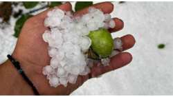 &Chi;&alpha;&lambda;&alpha;&zeta;ό&pi;&tau;&omega;&sigma;&eta; &pi;&rho;&omicron;&kappa;ά&lambda;&epsilon;&sigma;&epsilon; &zeta;&eta;&mu;&iota;έ&sigmaf; &sigma;&epsilon; &epsilon;&lambda;&alpha;&iota;&omicron;&kappa;&alpha;&lambda;&lambda;&iota;έ&rho;&gamma;&epsilon;&iota;&epsilon;&sigmaf; &sigma;&tau;&eta; &Chi;&alpha;&lambda;&kappa;&iota;&delta;&iota;&kappa;ή