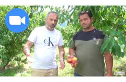 &Tau;&iota; &alpha;&nu;&alpha;&phi;έ&rho;&omicron;&upsilon;&nu; &omicron;&iota; &kappa;&epsilon;&rho;&alpha;&sigma;&omicron;&pi;&alpha;&rho;&alpha;&gamma;&omega;&gamma;&omicron;ί &gamma;&iota;&alpha; &tau;&iota;&sigmaf; &zeta;&eta;&mu;&iota;έ&sigmaf; &alpha;&pi;ό &tau;&omicron; &chi;&alpha;&lambda;ά&zeta;&iota;  | &Alpha;&gamma;&rho;&omicron;&tau;&iota;&kappa;ά &nu;έ&alpha; IMATHIOTIKIGI.GR