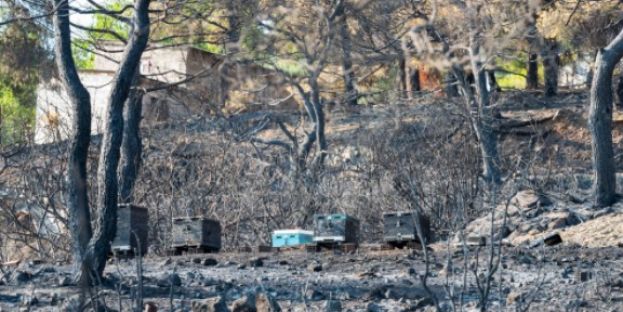 e-&Epsilon;&Phi;&Kappa;&Alpha;: &Omicron;&iota; &epsilon;&upsilon;&epsilon;&rho;&gamma;&epsilon;&tau;&iota;&kappa;έ&sigmaf; &rho;&upsilon;&theta;&mu;ί&sigma;&epsilon;&iota;&sigmaf; &gamma;&iota;&alpha; &tau;&omicron;&upsilon;&sigmaf; &pi;&upsilon;&rho;ό&pi;&lambda;&eta;&kappa;&tau;&omicron;&upsilon;&sigmaf; &sigma;&tau;&iota;&sigmaf; &pi;&epsilon;&rho;&iota;&omicron;&chi;έ&sigmaf; &tau;&eta;&sigmaf; &Pi;.&Epsilon;. &Epsilon;&upsilon;&beta;&omicron;ί&alpha;&sigmaf;