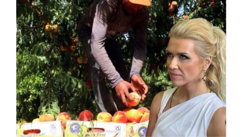 &Tau;&omicron;&upsilon;&pi;&epsilon;&kappa;&tau;&sigma;ή: &Sigma;&upsilon;&mu;&pi;ύ&rho;&eta;&nu;&omicron; &Rho;&omicron;&delta;ά&kappa;&iota;&nu;&omicron;. &Eta; &alpha;&sigma;&upsilon;&mu;&mu;&epsilon;&tau;&rho;ί&alpha; &iota;&sigma;&chi;ύ&omicron;&sigmaf; &kappa;&alpha;&iota; &tau;&omicron; &omicron;&iota;&kappa;&omicron;&nu;&omicron;&mu;&iota;&kappa;ό &alpha;&delta;&iota;έ&xi;&omicron;&delta;&omicron; &tau;&omega;&nu; &laquo;&alpha;&nu;&omicron;&iota;&chi;&tau;ώ&nu; &tau;&iota;&mu;ώ&nu;&raquo; &sigma;&tau;&eta;&nu; &Eta;&mu;&alpha;&theta;ί&alpha;