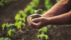 &Gamma;. &Sigma;&tau;ύ&lambda;&iota;&omicron;&sigmaf;: &Eta; &Kappa;&Alpha;&Pi; &theta;&alpha; &epsilon;&gamma;&kappa;&rho;&iota;&theta;&epsilon;ί &tau;&omicron; &epsilon;&pi;ό&mu;&epsilon;&nu;&omicron; &chi;&rho;&omicron;&nu;&iota;&kappa;ό &delta;&iota;ά&sigma;&tau;&eta;&mu;&alpha;