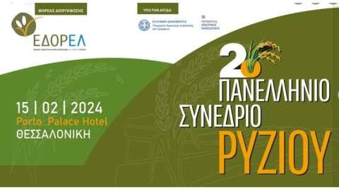 2&omicron; &Pi;&alpha;&nu;&epsilon;&lambda;&lambda;ή&nu;&iota;&omicron; &Sigma;&upsilon;&nu;έ&delta;&rho;&iota;&omicron; &Rho;&upsilon;&zeta;&iota;&omicron;ύ &sigma;&tau;&eta; &Theta;&epsilon;&sigma;&sigma;&alpha;&lambda;&omicron;&nu;ί&kappa;&eta; - &Tau;&alpha; &theta;έ&mu;&alpha;&tau;&alpha; &pi;&omicron;&upsilon; &theta;&alpha; &sigma;&upsilon;&zeta;&eta;&tau;&eta;&theta;&omicron;ύ&nu;