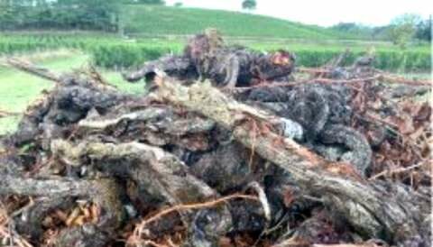 &Kappa;&Epsilon;&Omicron;&Sigma;&Omicron;&Epsilon;: &laquo;&Epsilon;&pi;&epsilon;ί&gamma;&epsilon;&iota;&raquo; &eta; &chi;&rho;&eta;&mu;&alpha;&tau;&omicron;&delta;ό&tau;&eta;&sigma;&eta; &tau;&omega;&nu; &epsilon;&kappa;&rho;&iota;&zeta;ώ&sigma;&epsilon;&omega;&nu;, &alpha;&pi;ό&sigma;&tau;&alpha;&xi;&eta;&sigmaf; &kappa;&alpha;&iota; &tau;&eta;&sigmaf; &iota;&delta;&iota;&omega;&tau;&iota;&kappa;ή&sigmaf; &alpha;&pi;&omicron;&theta;&epsilon;&mu;&alpha;&tau;&omicron;&pi;&omicron;ί&eta;&sigma;&eta;&sigmaf; &gamma;&iota;&alpha; &tau;&omicron;&upsilon;&sigmaf; &Gamma;ά&lambda;&lambda;&omicron;&upsilon;&sigmaf;