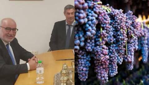 &Pi;&epsilon;&rho;. &Delta;&upsilon;&tau;&iota;&kappa;ή&sigmaf; &Epsilon;&lambda;&lambda;ά&delta;&alpha;&sigmaf;: &Epsilon;&pi;ί&sigma;&kappa;&epsilon;&psi;&eta; &tau;&omicron;&upsilon; &Pi;. &Sigma;&alpha;&kappa;&epsilon;&lambda;&lambda;&alpha;&rho;ό&pi;&omicron;&upsilon;&lambda;&omicron;&upsilon; &sigma;&tau;&omicron;&nu; &Epsilon;&Lambda;&Gamma;&Alpha; &gamma;&iota;&alpha; &tau;&iota;&sigmaf; &zeta;&eta;&mu;&iota;έ&sigmaf; &sigma;&epsilon; &sigma;&tau;&alpha;&phi;ί&delta;&epsilon;&sigmaf; &kappa;&alpha;&iota; "&Rho;&omicron;&delta;ί&tau;&eta;"